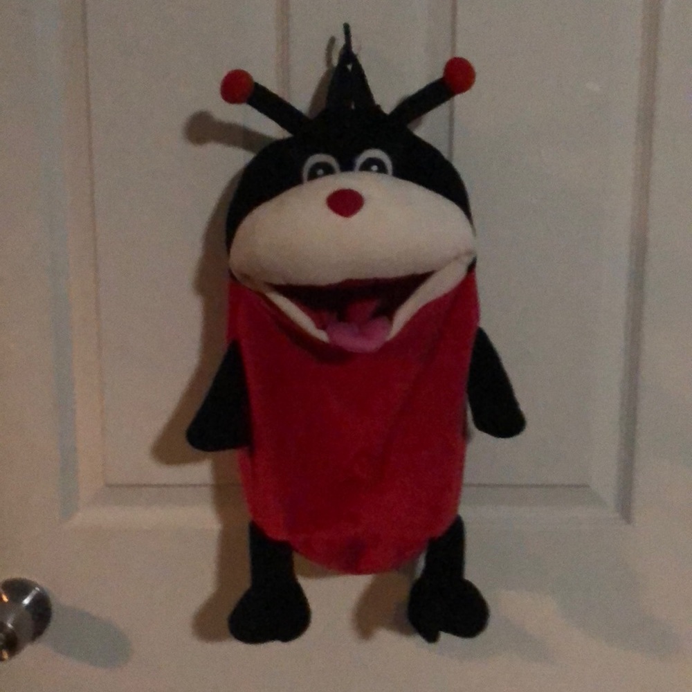 Kids ladybug bag